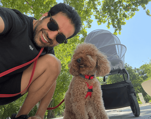 The Adjustable Dog Leash That Does It All