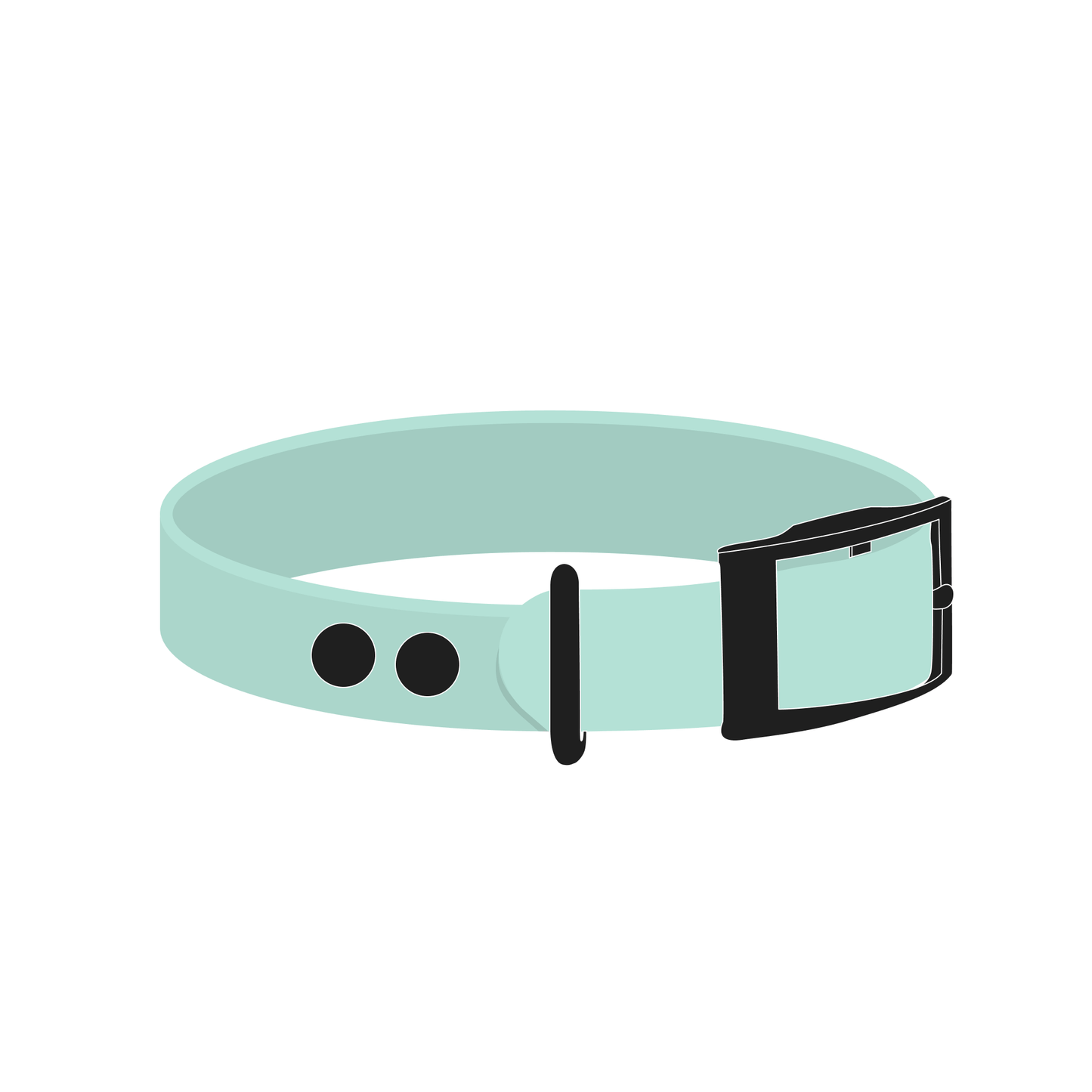 Collar MONO | Matte Black • Mint Green