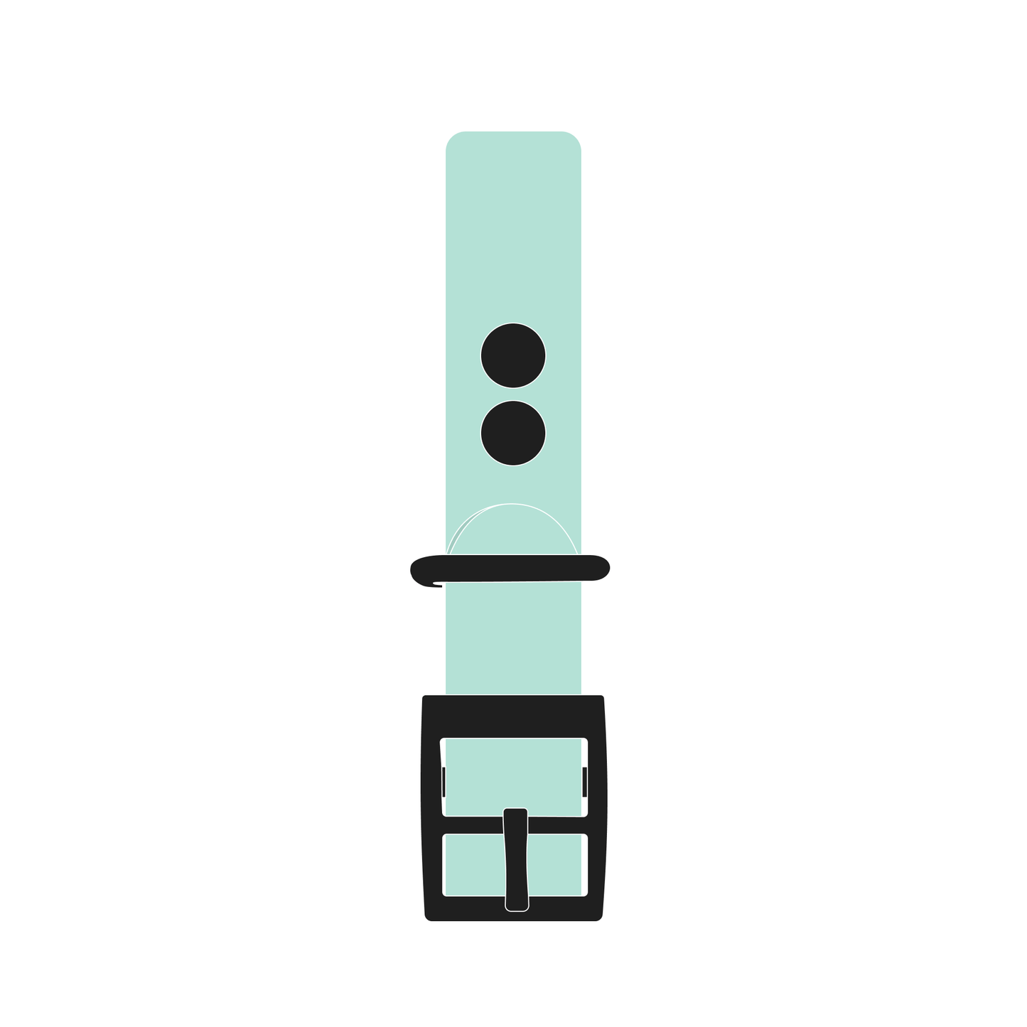Collar MONO | Matte Black • Mint Green