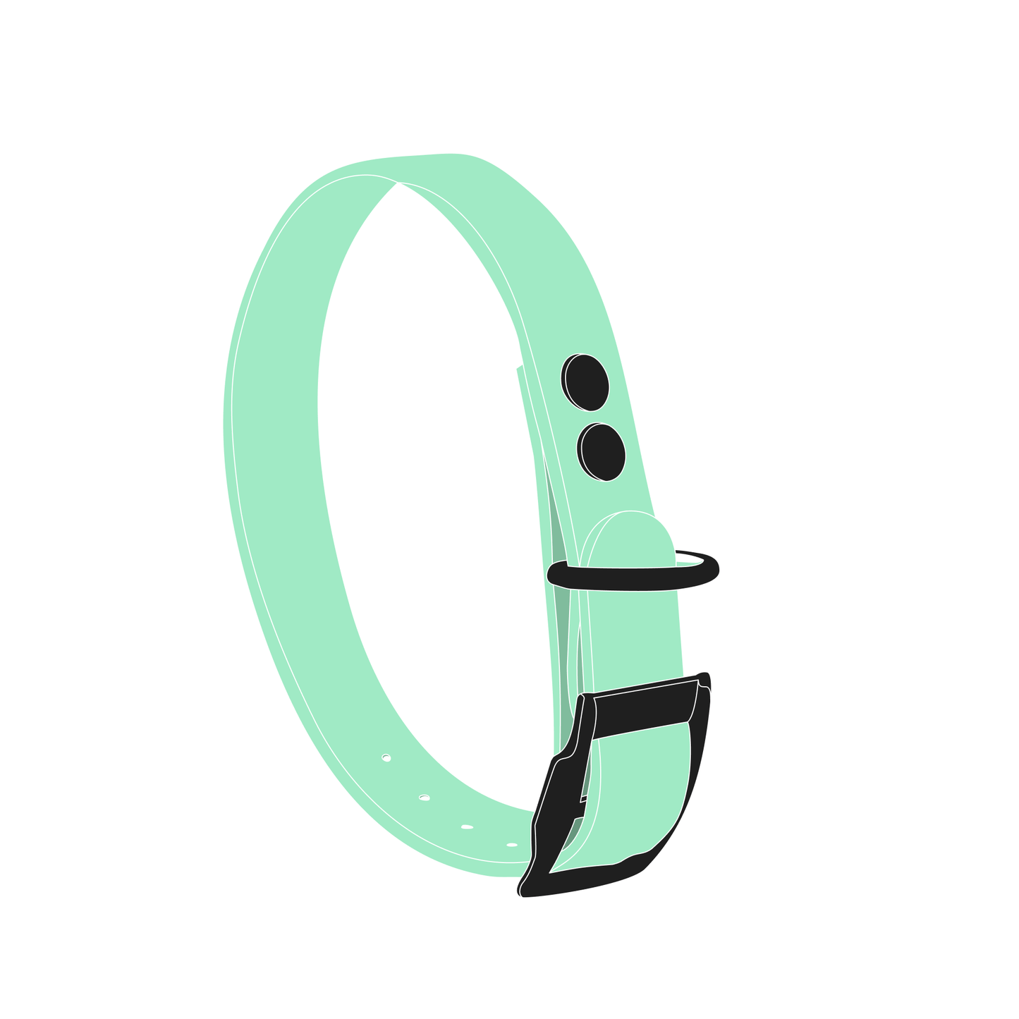 Collar MONO | Matte Black • Caribbean Green