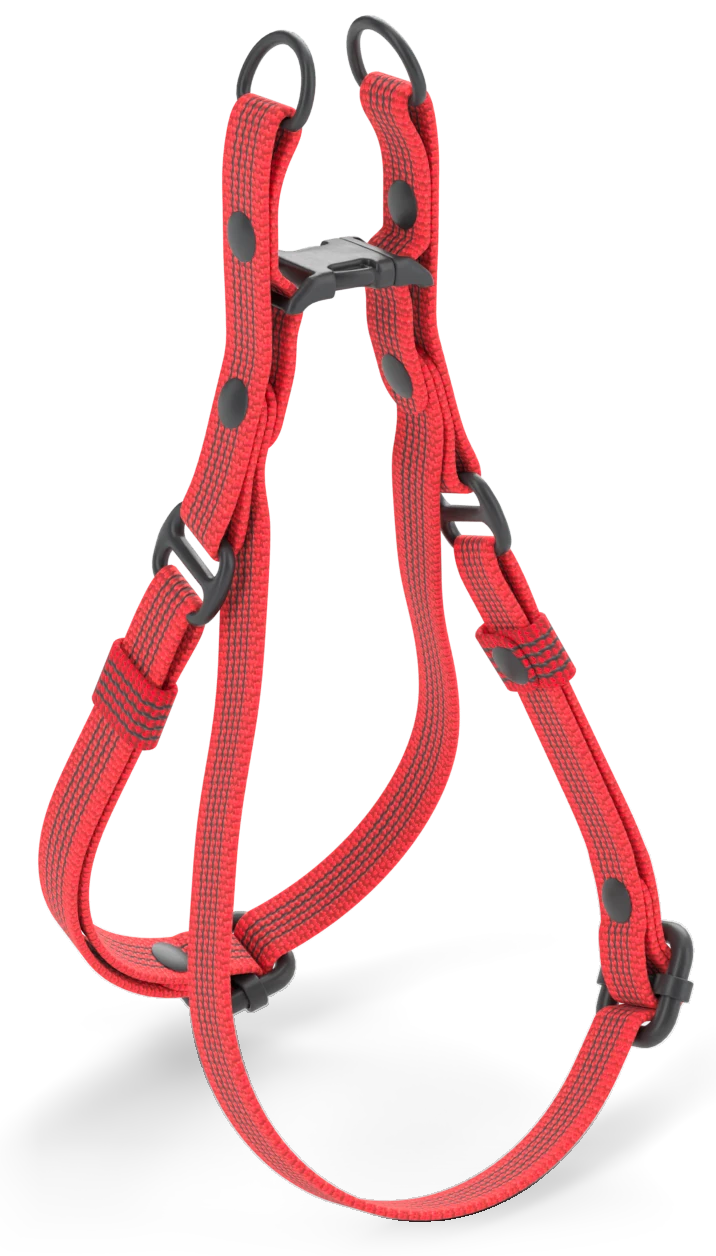Harness QUICK, red with black hardware