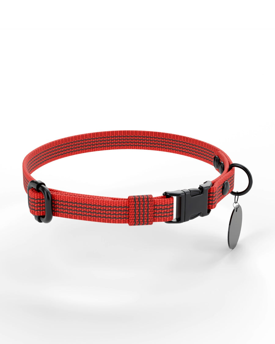Collar QUICK