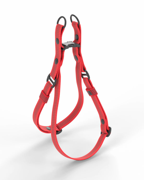 Harness QUICK