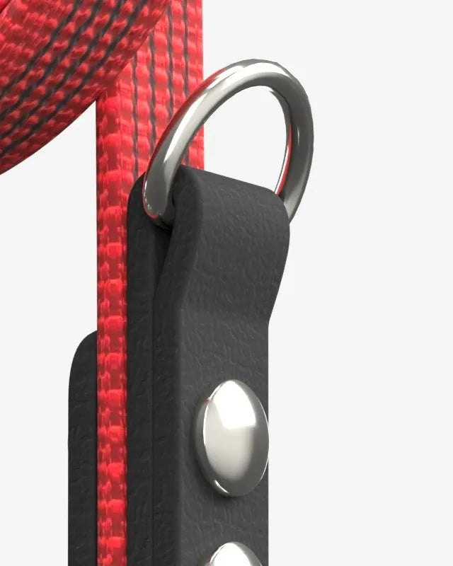 Small D-ring