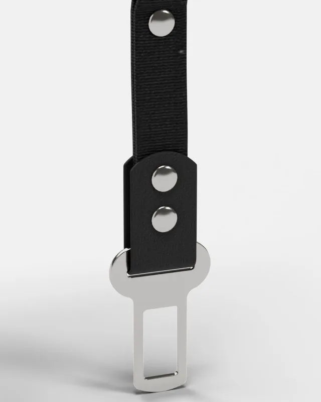 Drive Module: Car