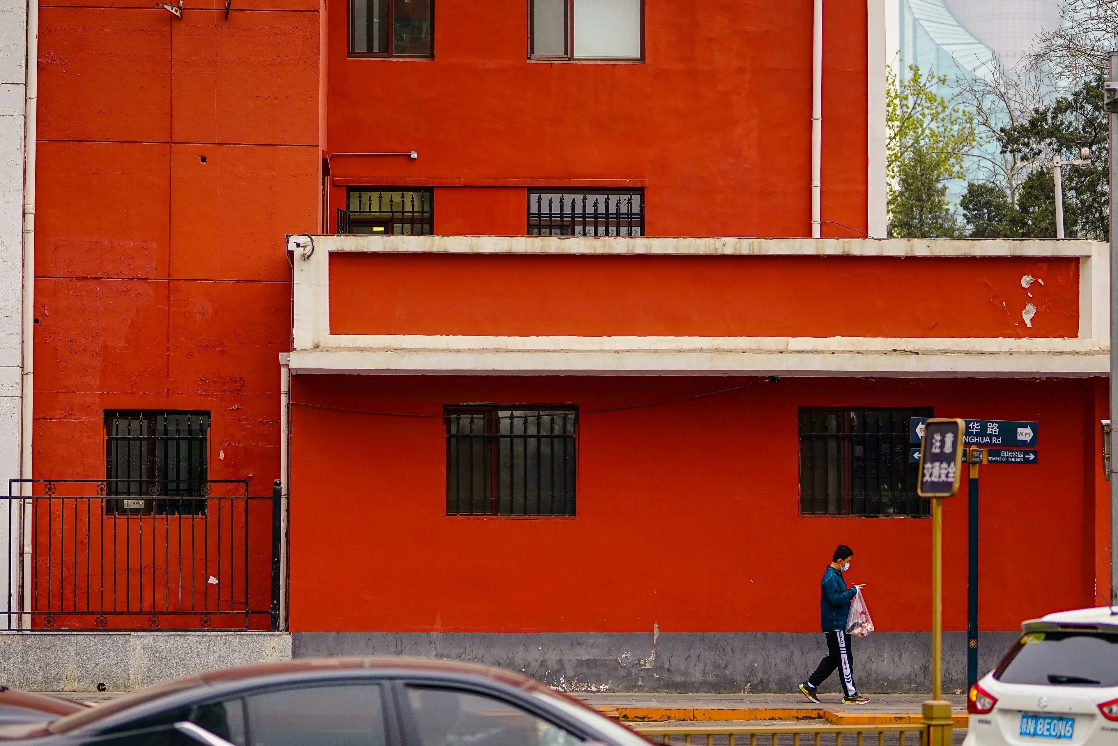 Reflective Orange: A Collar That Reacts to Light