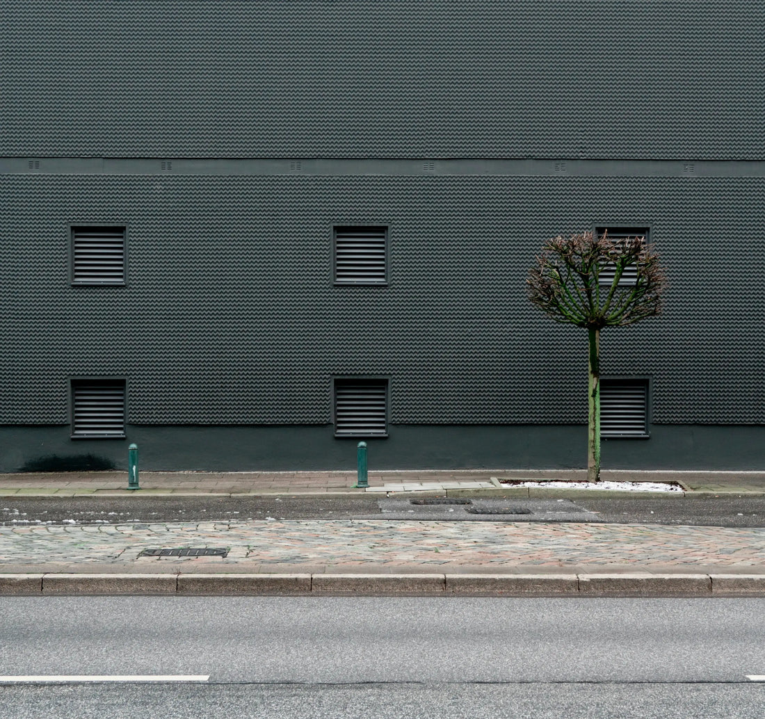 Dark Gray: A Collar That Holds Its Ground