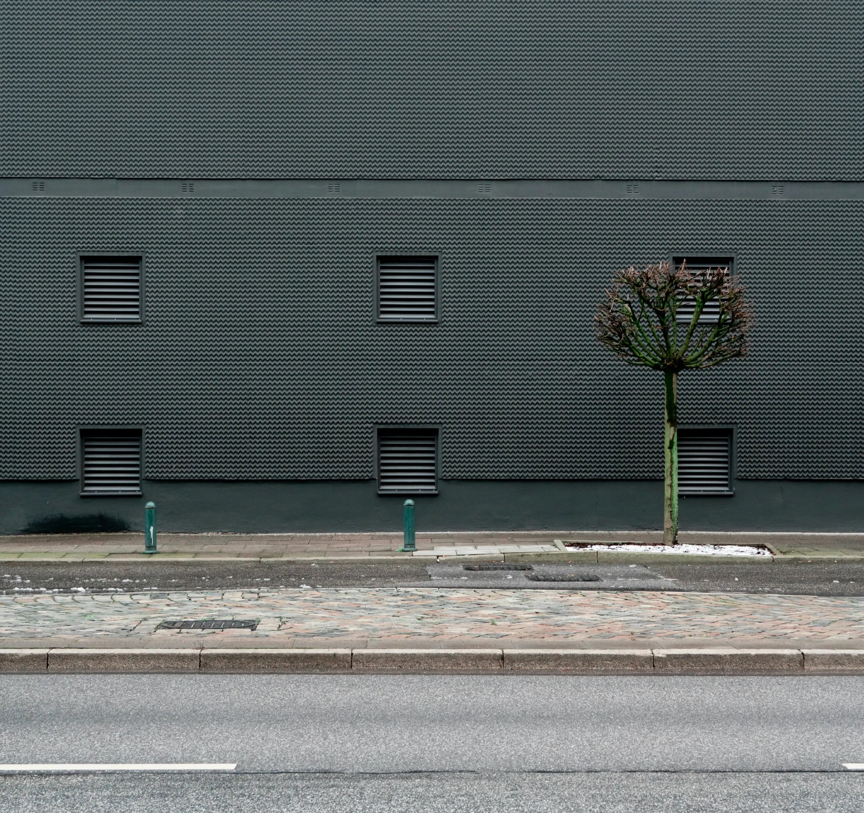 Dark Gray: A Collar That Holds Its Ground