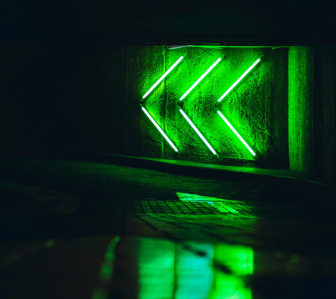 Neon Green: A Collar That Moves with Energy