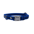Collar Quick • Blue