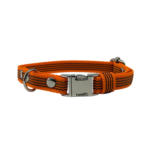Collar Quick • Orange