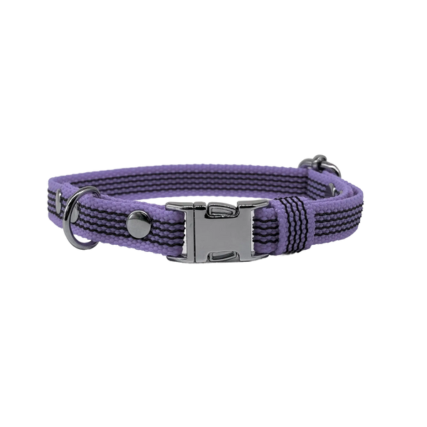 Collar Quick • Purple
