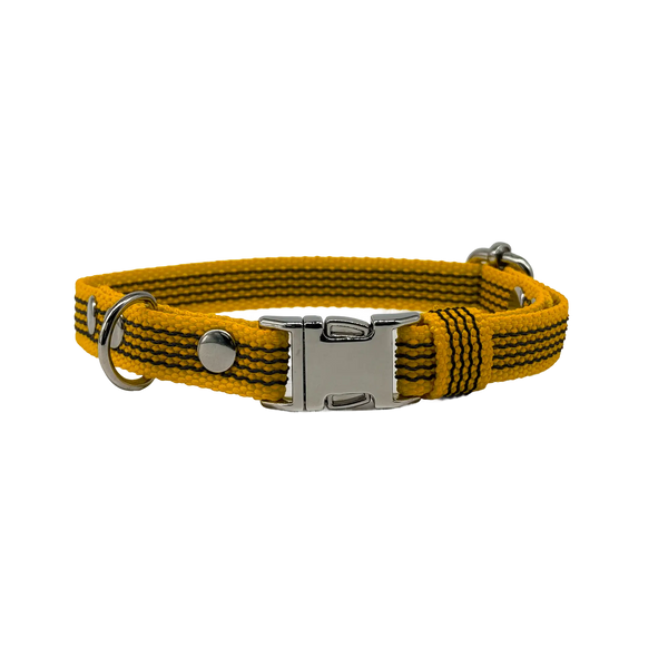 Collar Quick • Yellow