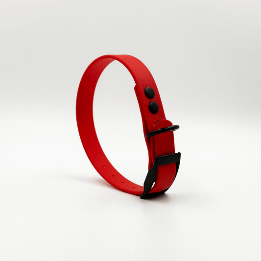 Collar MONO • Red