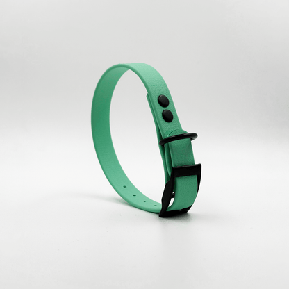 Collar MONO • Caribbean Green