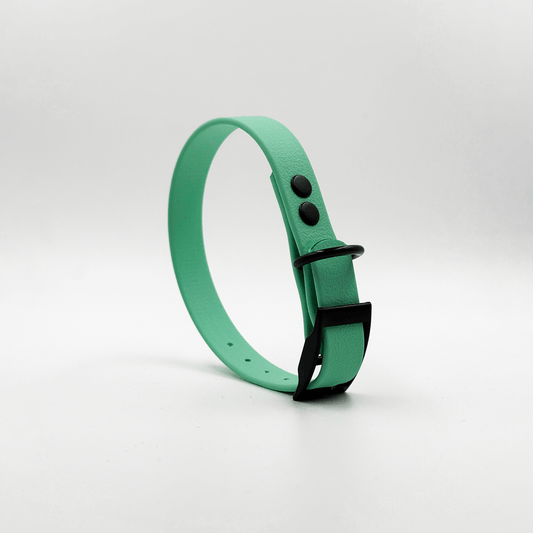 Collar MONO • Caribbean Green