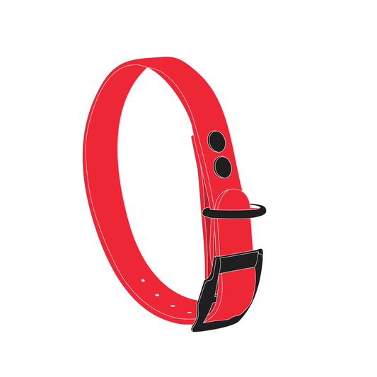 Collar MONO | Matte Black • Candy Red