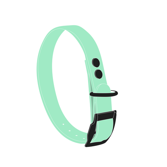 Collar MONO | Matte Black • Caribbean Green