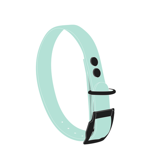 Collar MONO | Matte Black • Mint Green