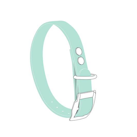 Collar MONO • Mint Green