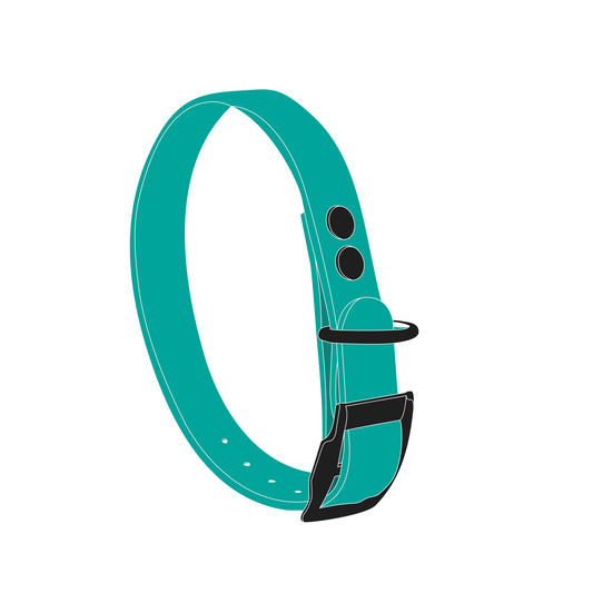 Collar MONO | Matte Black • Pastel Green