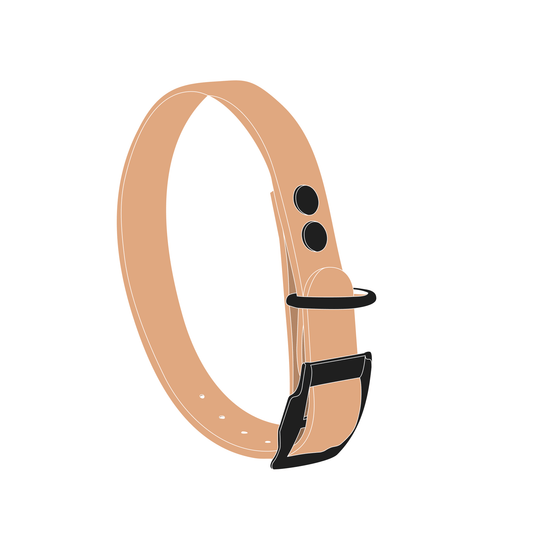 Collar MONO | Matte Black • Saddle Tan