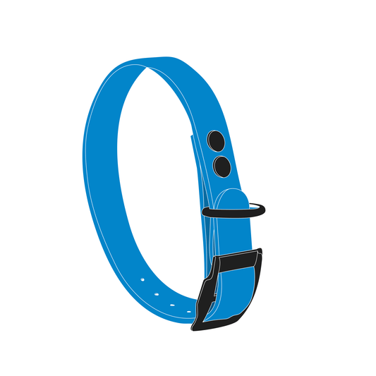Collar MONO | Matte Black • Sky Blue