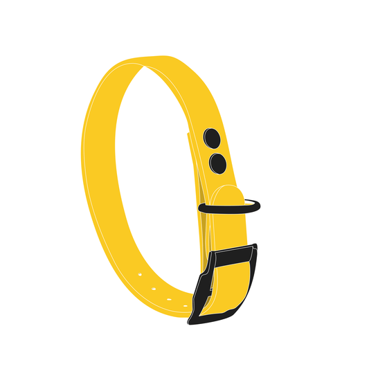 Collar MONO | Matte Black • Yellow