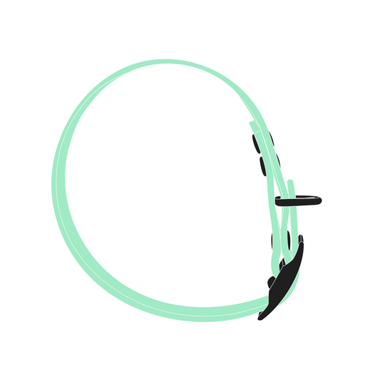 Collar MONO | Matte Black • Caribbean Green
