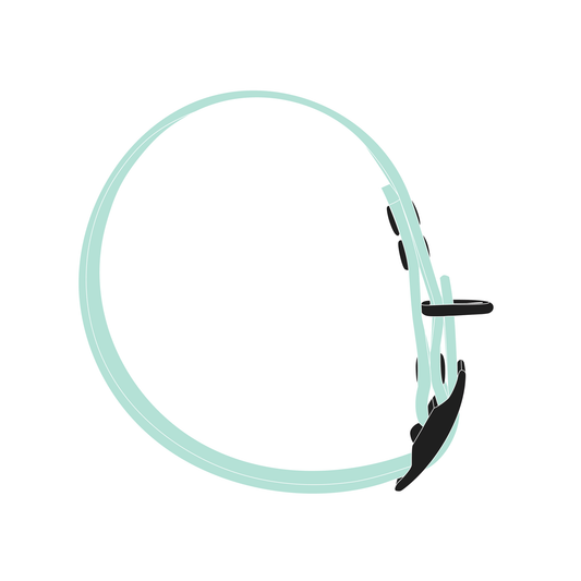 Collar MONO | Matte Black • Mint Green