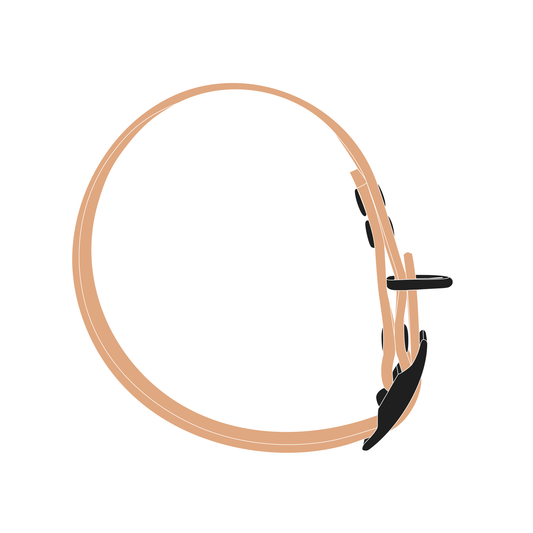 Collar MONO | Matte Black • Saddle Tan
