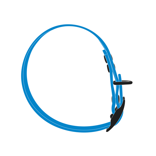 Collar MONO | Matte Black • Sky Blue