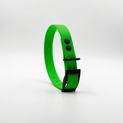Collar MONO • Neon Green