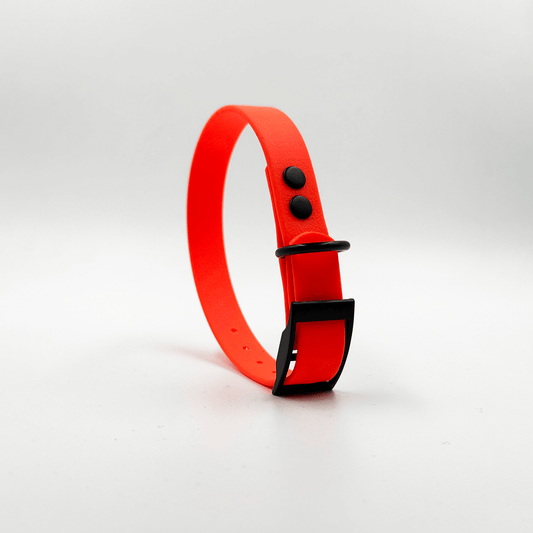Collar MONO • Neon Orange