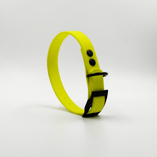 Collar MONO • Neon Yellow