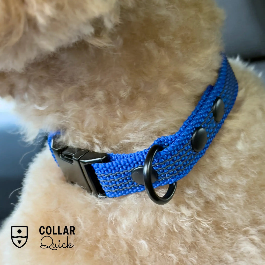 Collar Quick