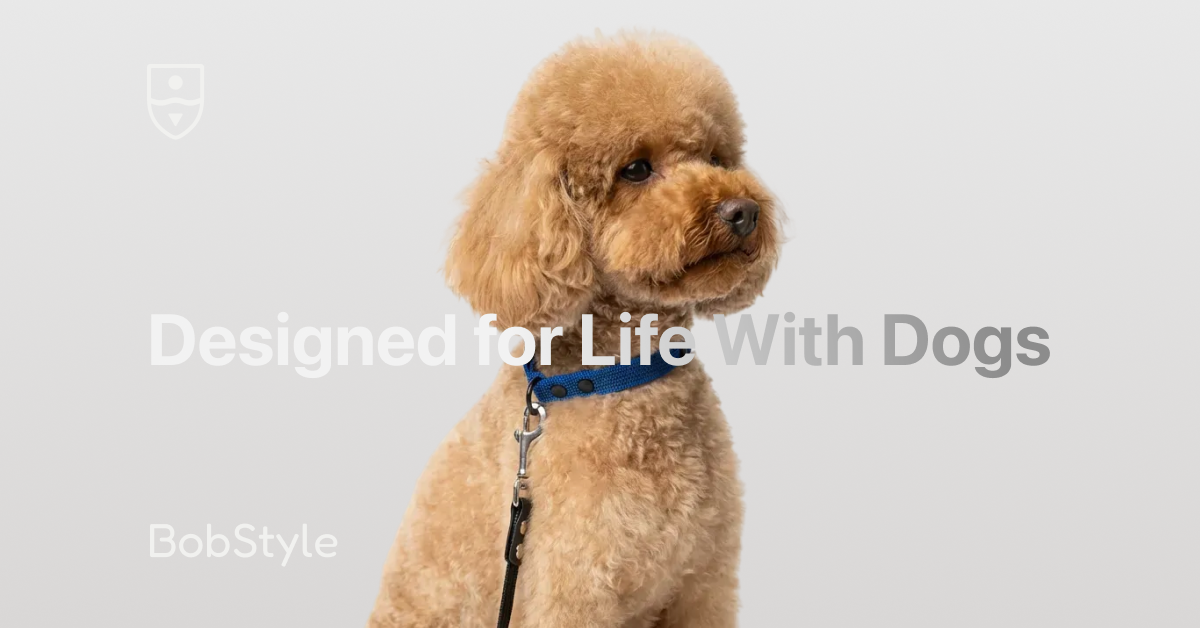 BobStyle, premium modular dog accessories, designed for life with dogs