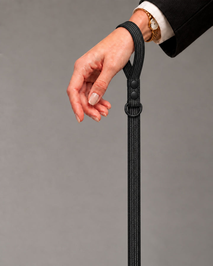 Leash BASIC, Black / Black, an einem Hund