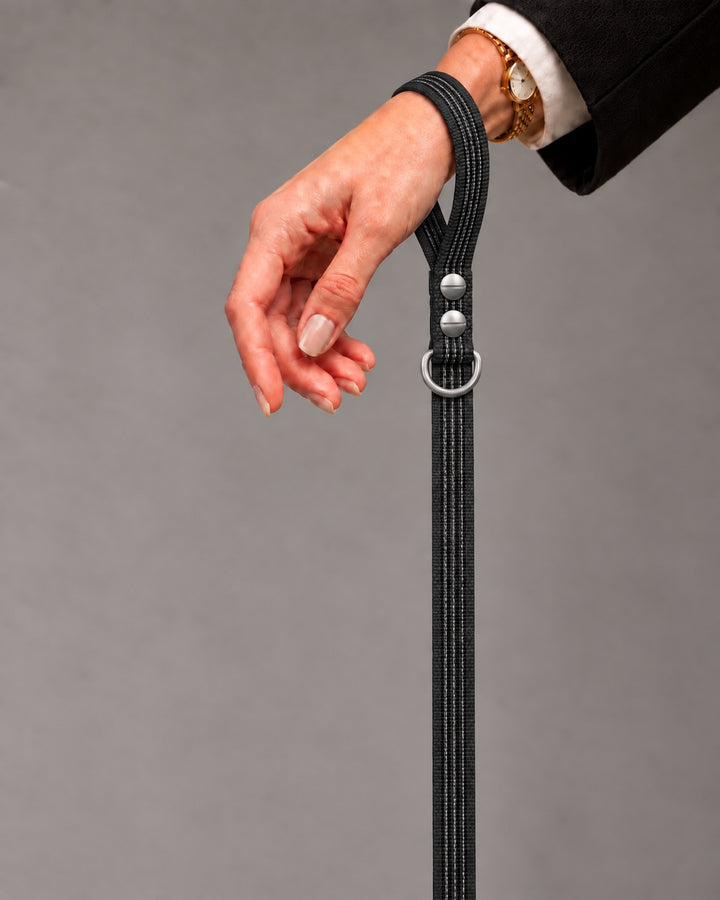 Leash BASIC, Black / Stainless Steel, an einem Hund