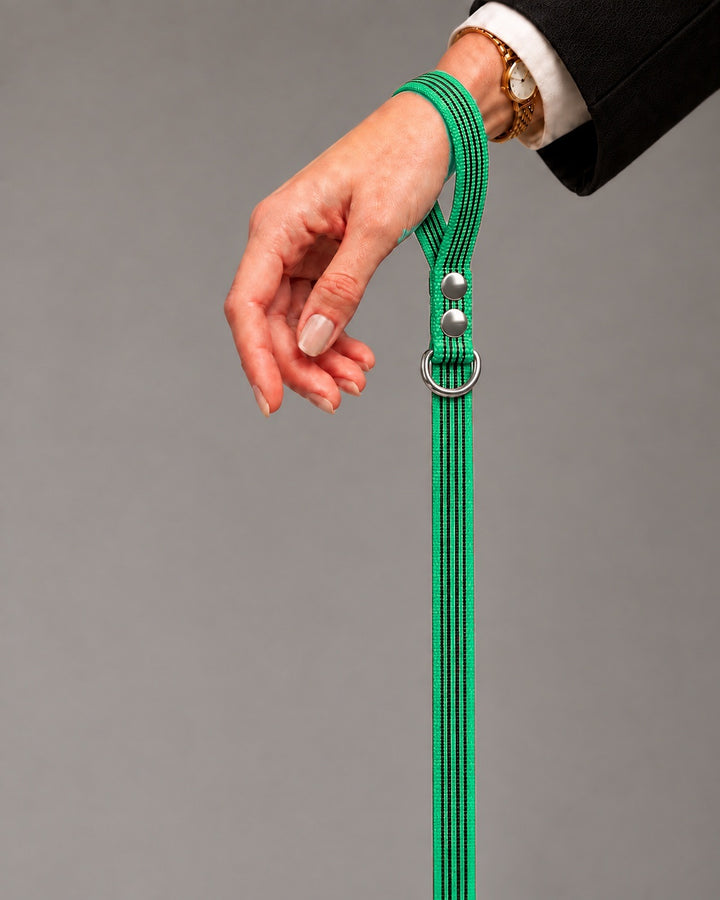 Leash BASIC, Green / Silver, an einem Hund