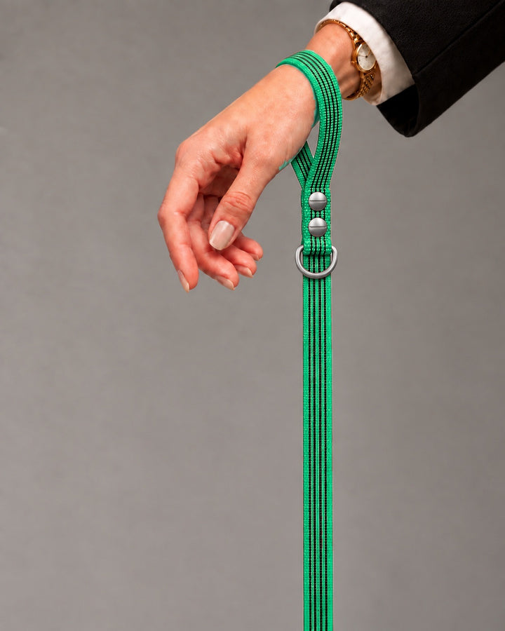 Leash BASIC, Green / Stainless Steel, an einem Hund