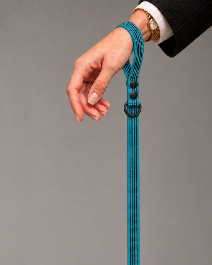Leash BASIC, Kerosene / Black, an einem Hund