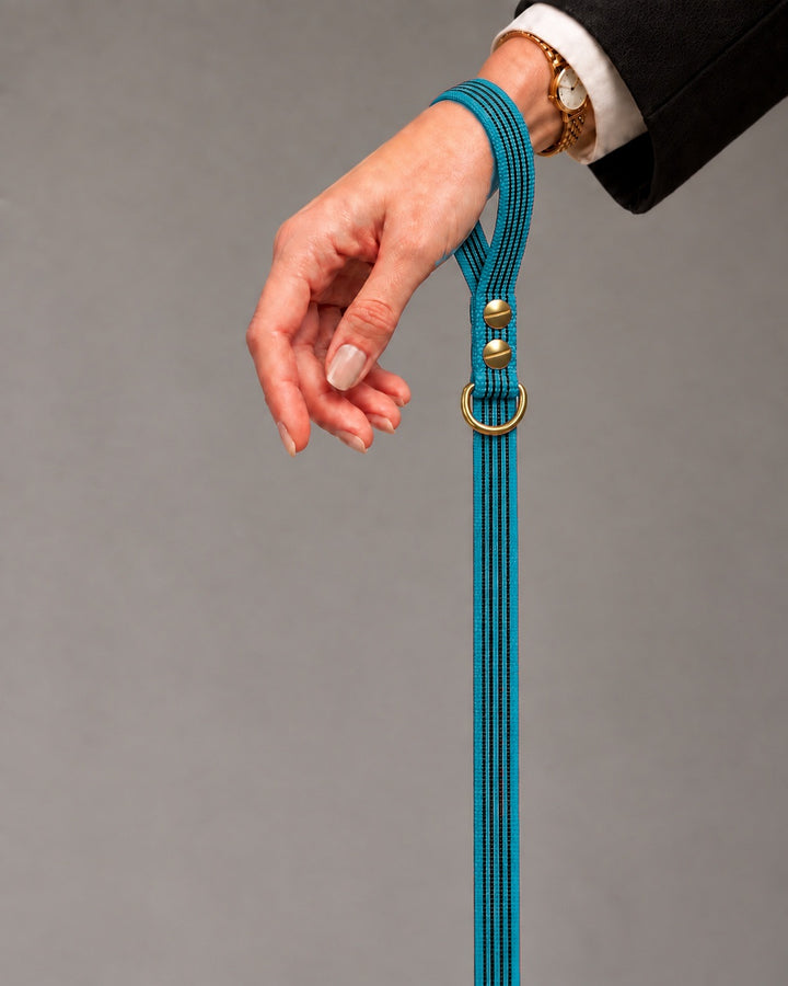 Leash BASIC, Kerosene / Brass, an einem Hund
