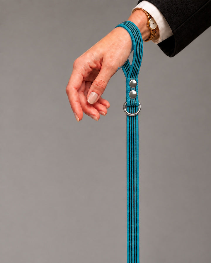 Leash BASIC, Kerosene / Silver, an einem Hund
