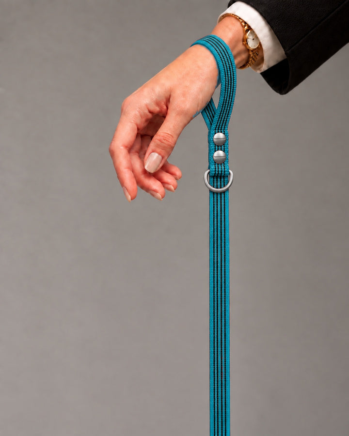 Leash BASIC, Kerosene / Stainless Steel, an einem Hund