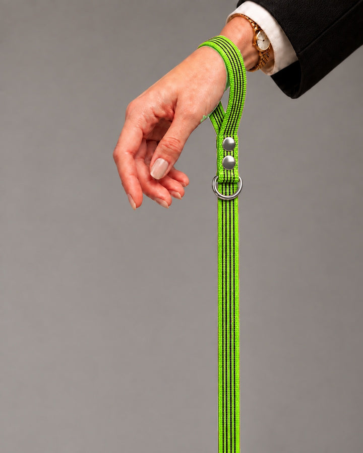 Leash BASIC, Lime / Silver, an einem Hund