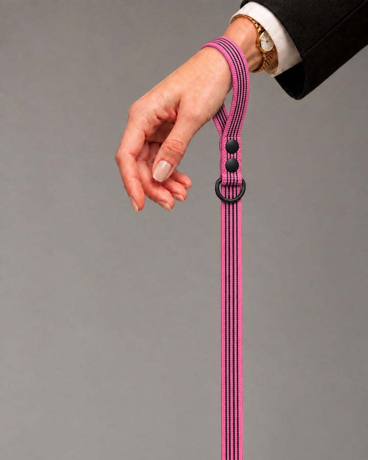 Leash BASIC, Pink / Black, an einem Hund