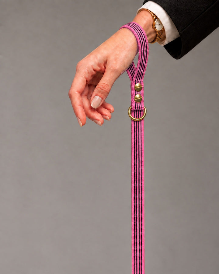 Leash BASIC, Pink / Brass, an einem Hund