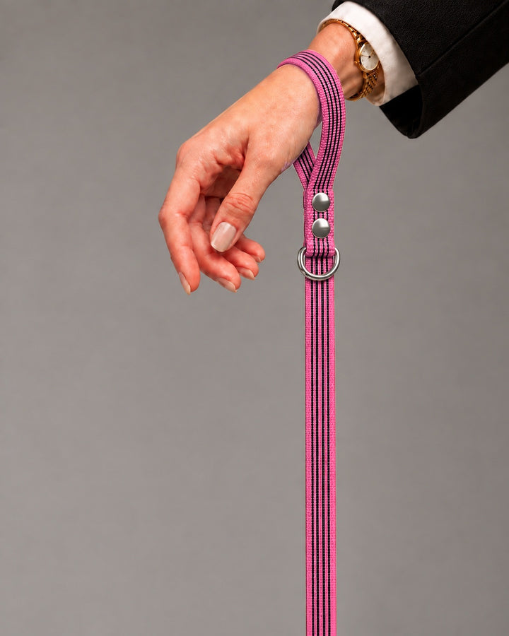 Leash BASIC, Pink / Silver, an einem Hund