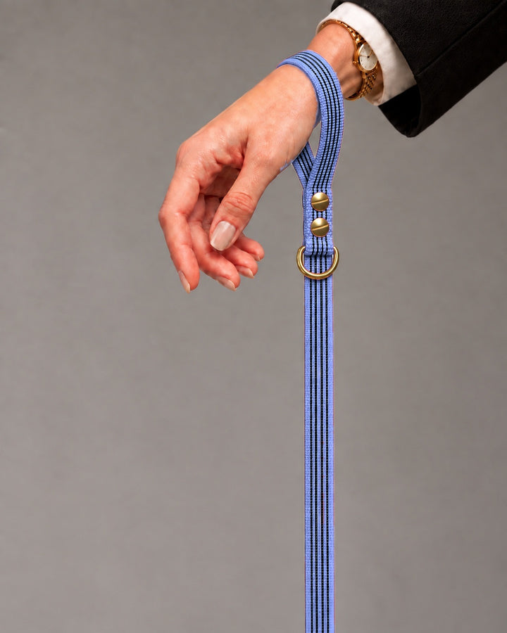 Leash BASIC, Purple / Brass, an einem Hund